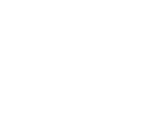 icon5